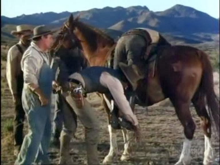 Sodbusters Movie Trailer and Videos